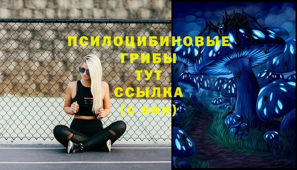 кристаллы Карпинск