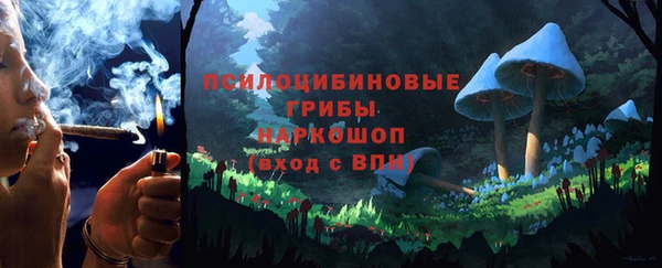 Альфа ПВП Карталы