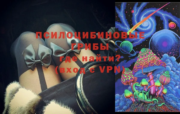 стаф Кинешма