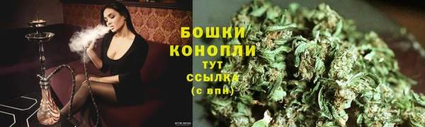 мдпв Киреевск