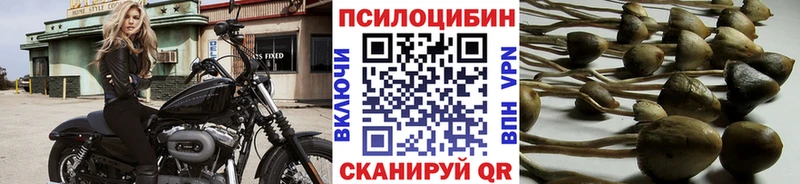Псилоцибиновые грибы Cubensis  Купить закладки  Гремячинск 